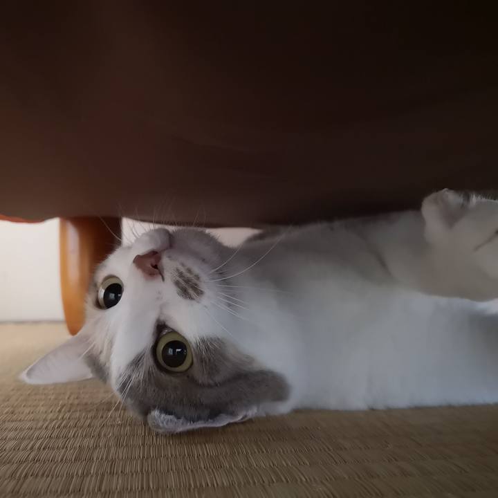 Afeb0106 df88 466f 8b22 e528a184b75f 1569245700287