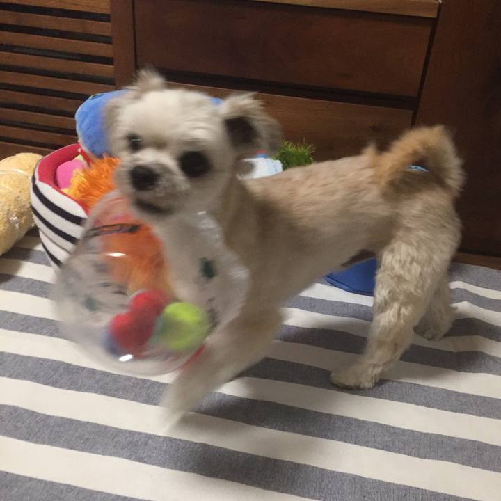 Afeb133e 9d21 4bf9 ab17 fff9d3ad2a76 1560076820078