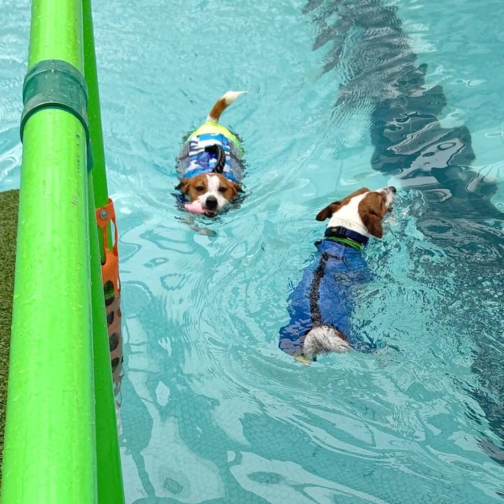 Afeb2fa0 2ee4 4d10 8aa2 8a96dac8ceb8 1661815047669