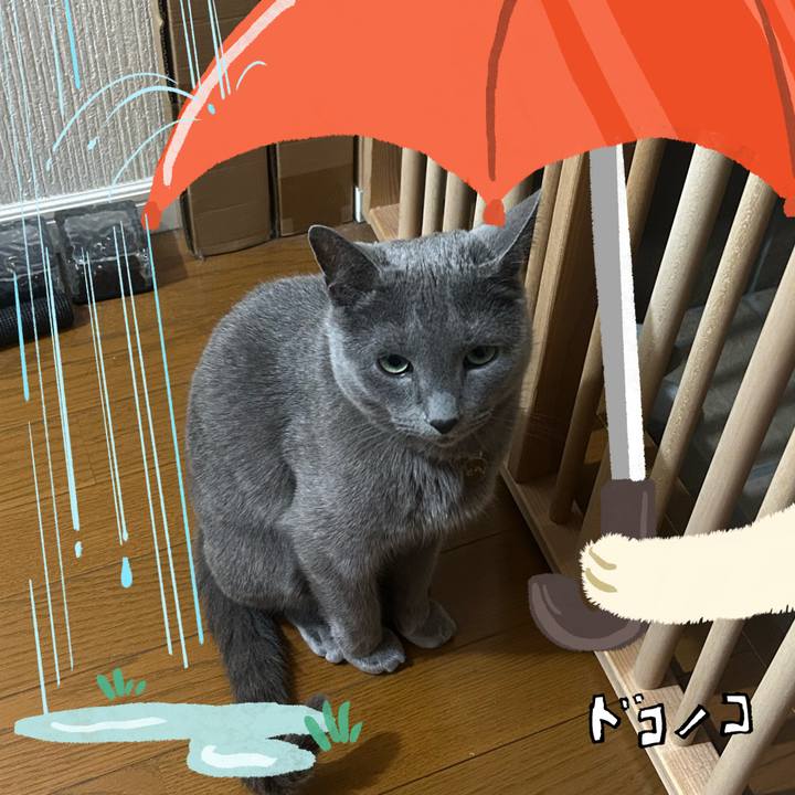 Afeb6675 f435 48a2 99a6 5038fa020e60 1749511362946