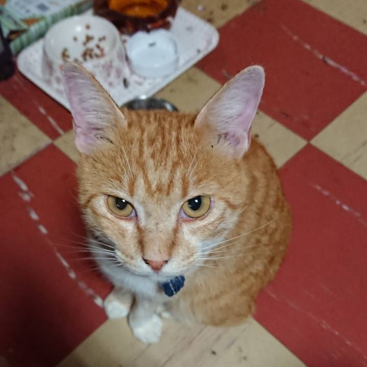 Afeb6a21 5ce6 4971 90de efaed146a597 1564690837545