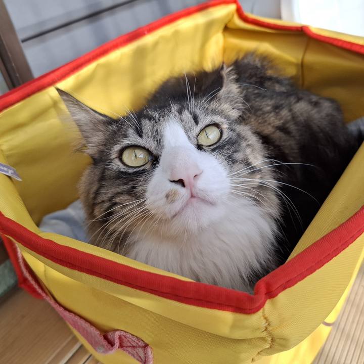 Afeba1f5 90da 4b2f 8f55 d43cfca2314f 1738462023820