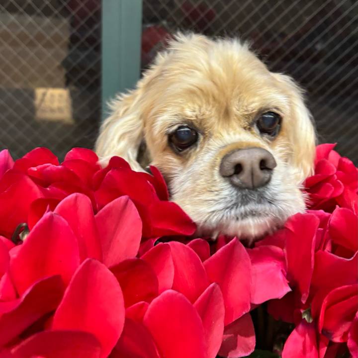 Afebb8be f33e 4610 8dec f1840f79cb15 1766935529778