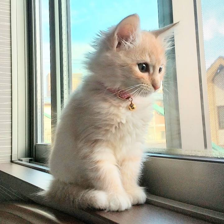 Afebe79a 63ed 46e8 a1b2 7a40bfcde2e4 1603664431446