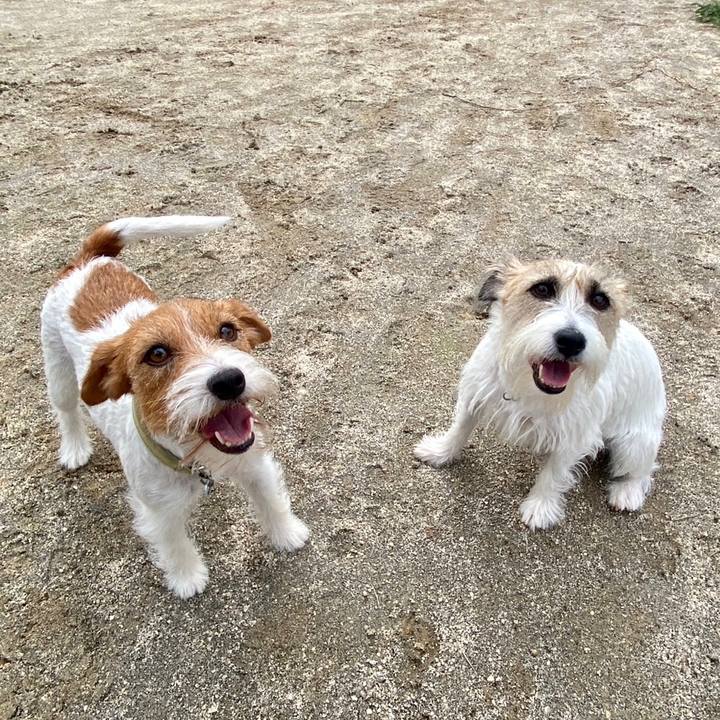 Afebf69c bf0c 4054 8640 58dadc73335a 1696596489262