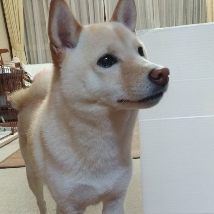 Afebfb30 5187 4644 b367 d24edf82a099 1530097091455