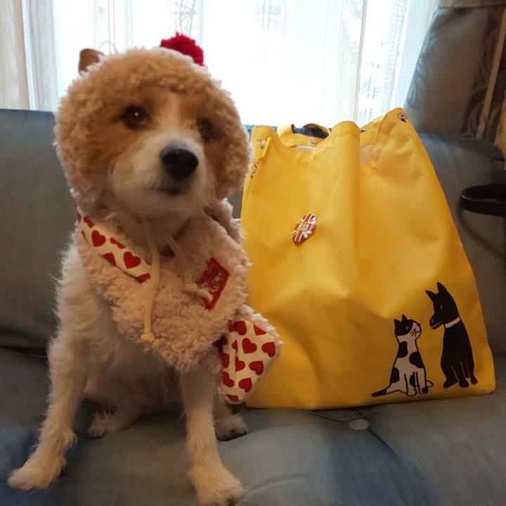 Afec4fd6 241e 4b3e a784 7def9e64a57a 1641775500313