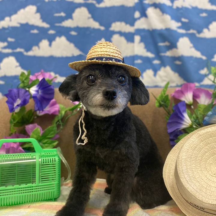 Afec506c 94d2 469d 9800 09b7a0727f79 1686999777495