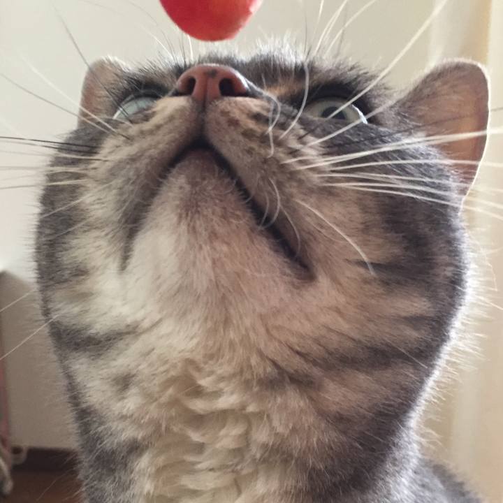 Afecd8e7 cb1c 41a4 9587 66d50c1768e7 1529360885794