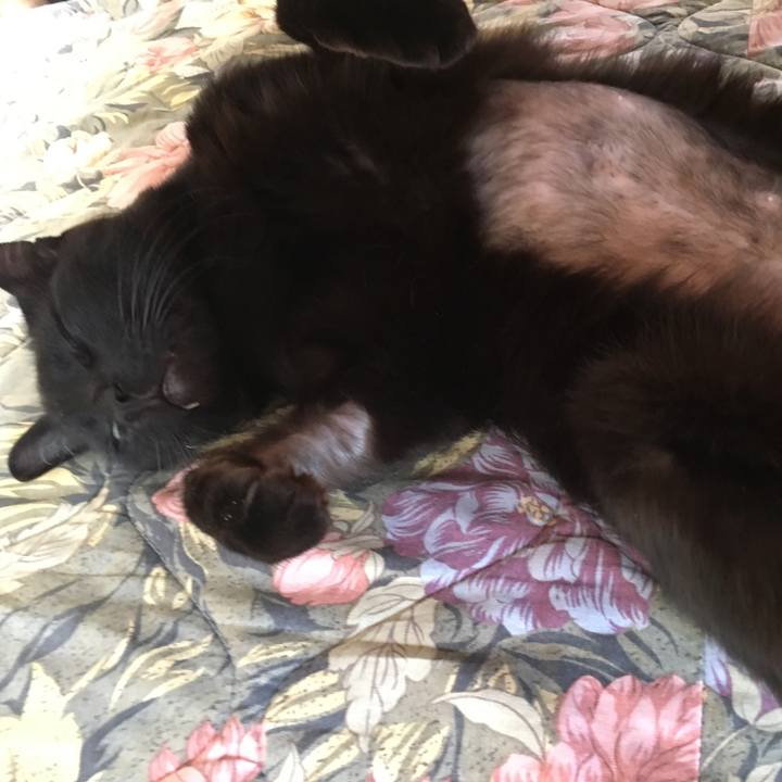 Afece6eb 6120 476e a6cf c2f87ace3105 1527398057431