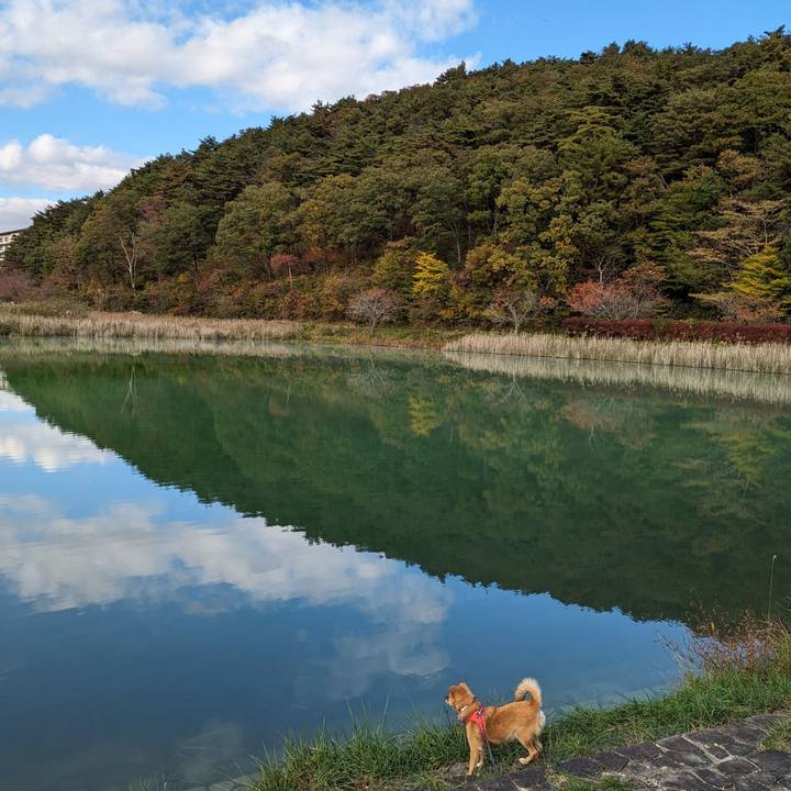 Afed51c3 a6c1 412c 8c84 811408b2db8b 1698665716424