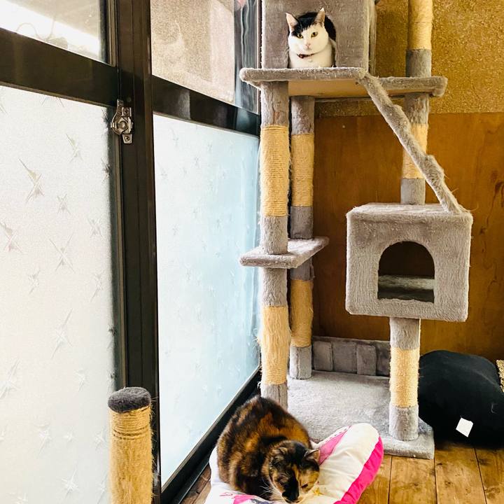 Afed557c 676c 47ec adac 40d5cbe3575a 1666304536364