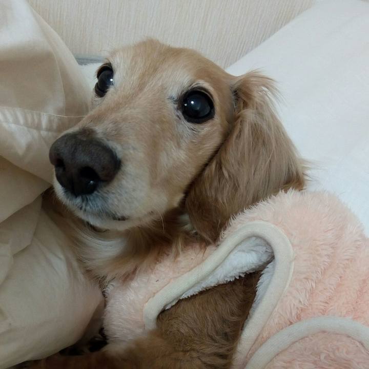 Afed74d3 4157 4157 a18c 8fb2dce5e03d 1549605682559