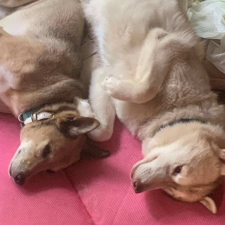 Afedb79d 3773 4456 856e a9fdb09b24ef 1659167333542