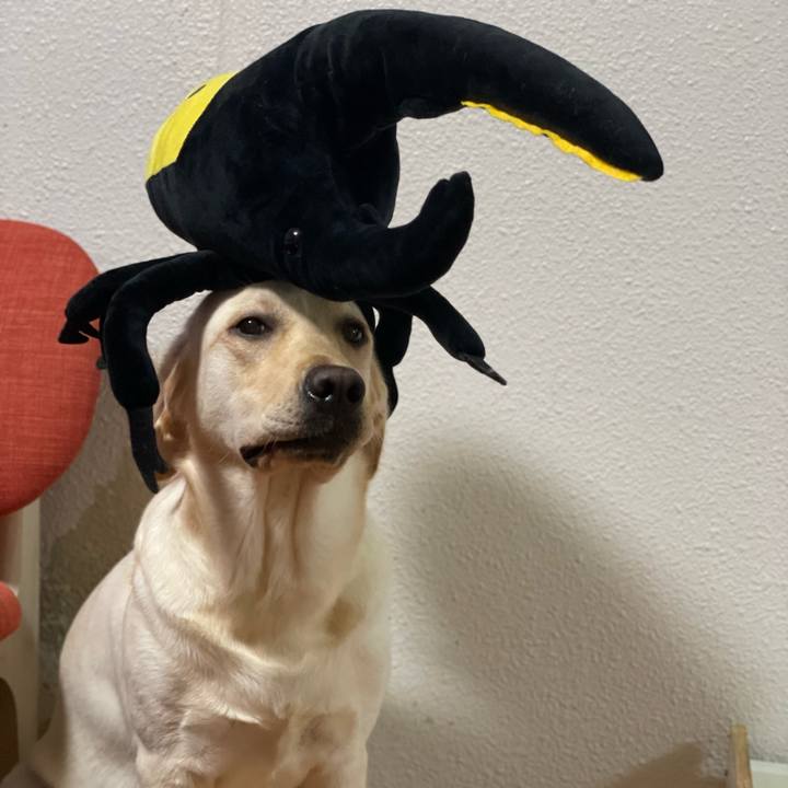 Afedc836 fde8 4415 bf1d eb9d20dae50f 1656253228270