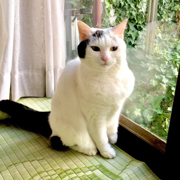 Afeddb77 c798 4266 89a0 2646b5456980 1576474638556