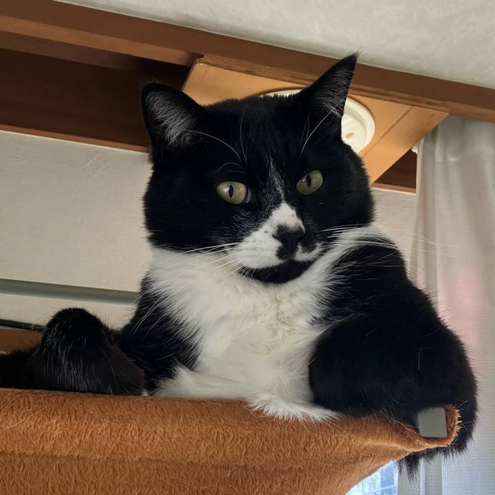 Afedeff1 9be9 4f2b ac7f 6a8c3f1be9a2 1747122913809