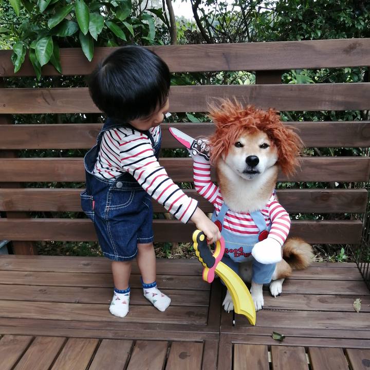 Afee0098 53b3 4f08 8f9d 98a3fe30dc91 1603887950389