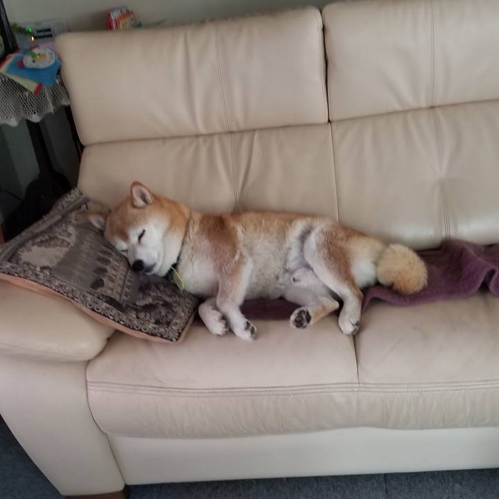 Afee1ff2 6740 41a6 9df1 74396ed54d31 1657750404409