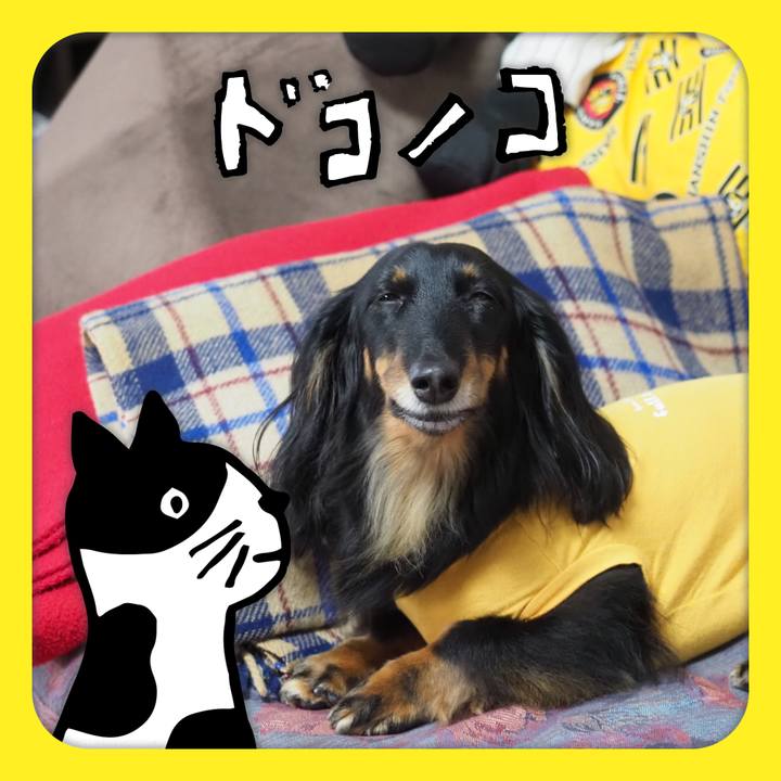 Afee2f60 fde4 4e69 a5ca 98be466cbc21 1623472183827