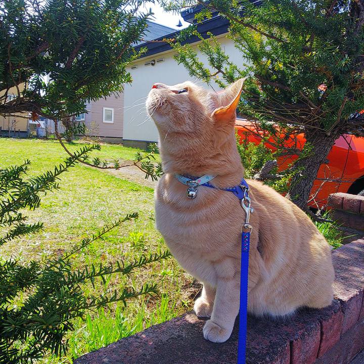 Afee4086 e4d5 4469 90a9 7bc0c56c5334 1620093161667