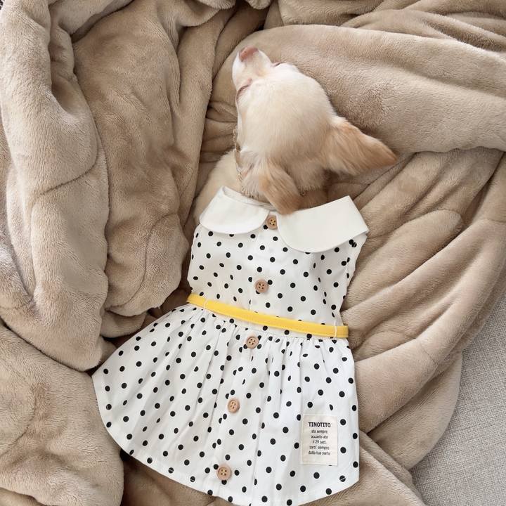 Afee477f 8e8b 4d02 a776 9f4a10bddb26 1722910333865