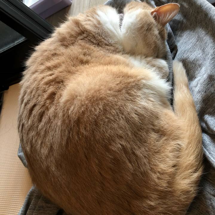 Afee52dd 04e2 4f8d 9001 71578e6e642a 1604815763989