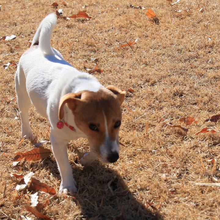 Afee92b5 e659 4dab 9a9d d501b7d06160 1513502966026