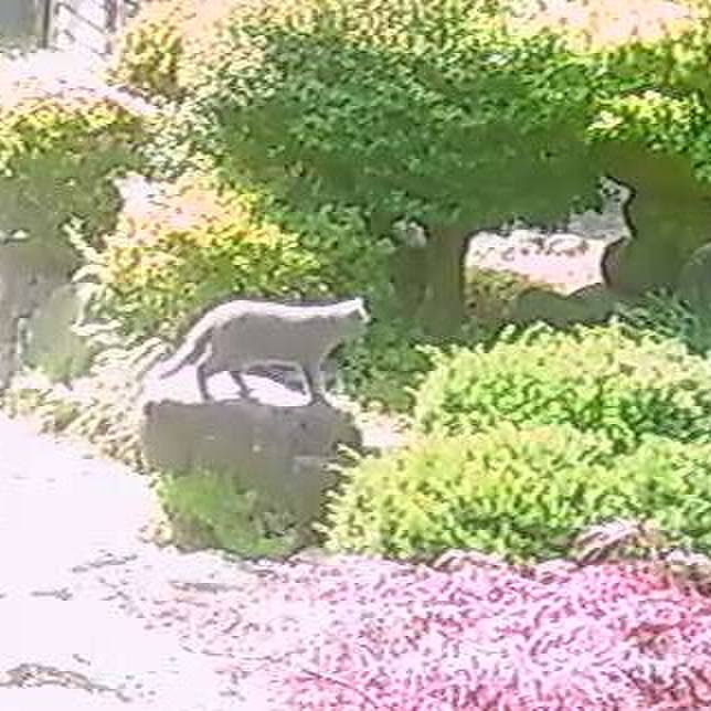 Afee92e1 5472 4b4b bdab 51557003f6c8 1591078170405