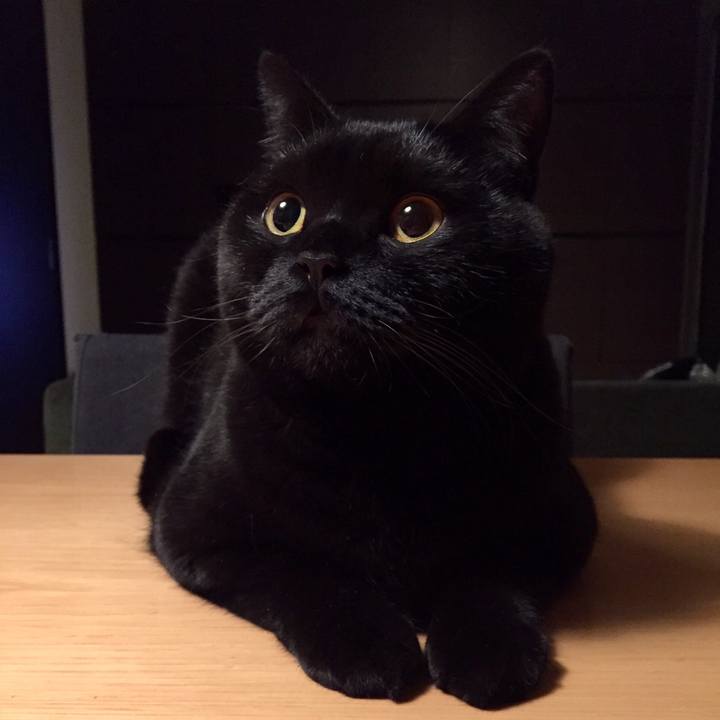 Afeebc5f c922 4ff9 a97c 7d8e5e825919 1545911933941