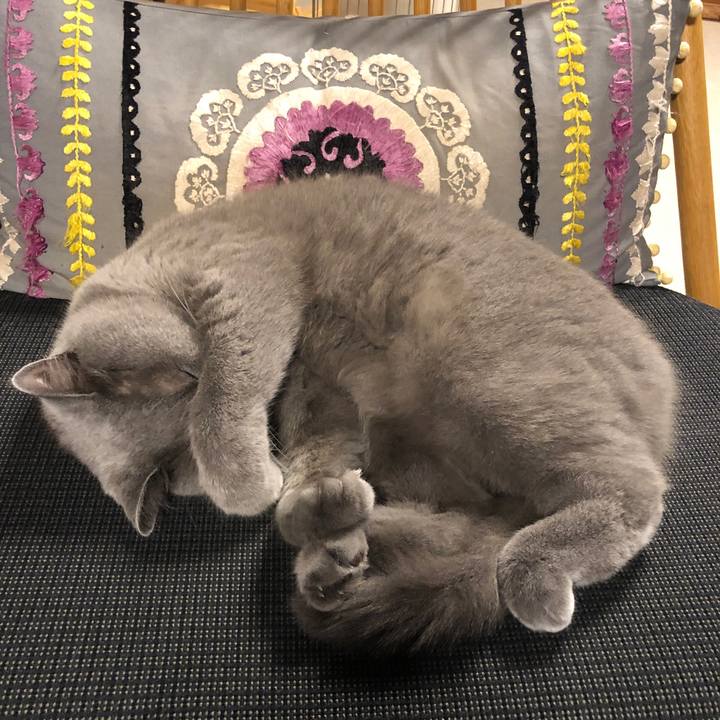 Afeec354 0c87 470a ab22 31933e84edd4 1575194194786