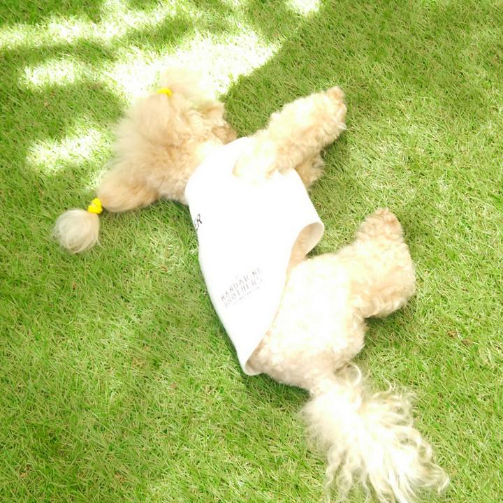 Afeeeb93 1842 4963 867a 6c196a319388 1534754839930