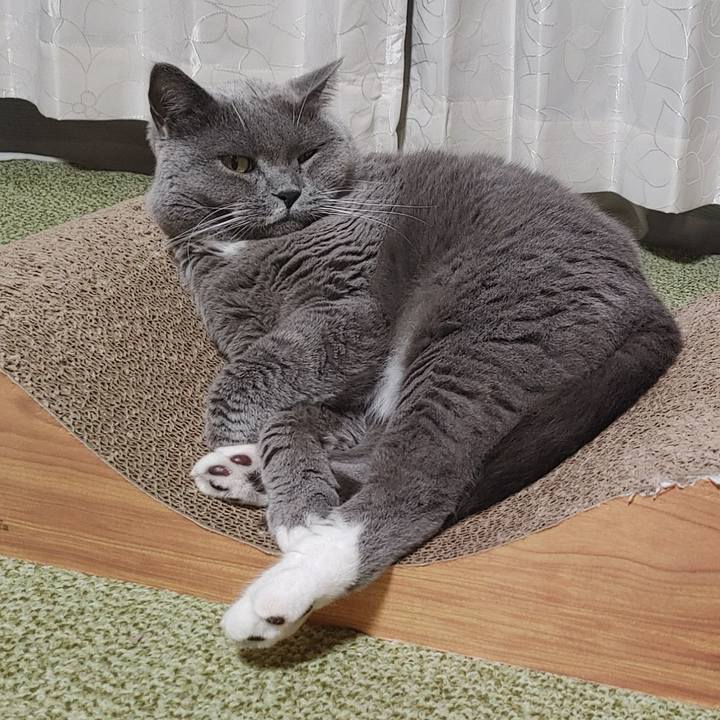 Afeeef78 abdf 4984 a319 1382df0cd2c7 1658140861488