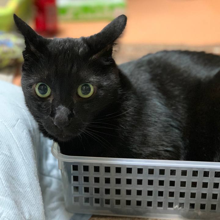 Afef10e6 4253 44f9 8e2f 23c128d5fe68 1598754085502