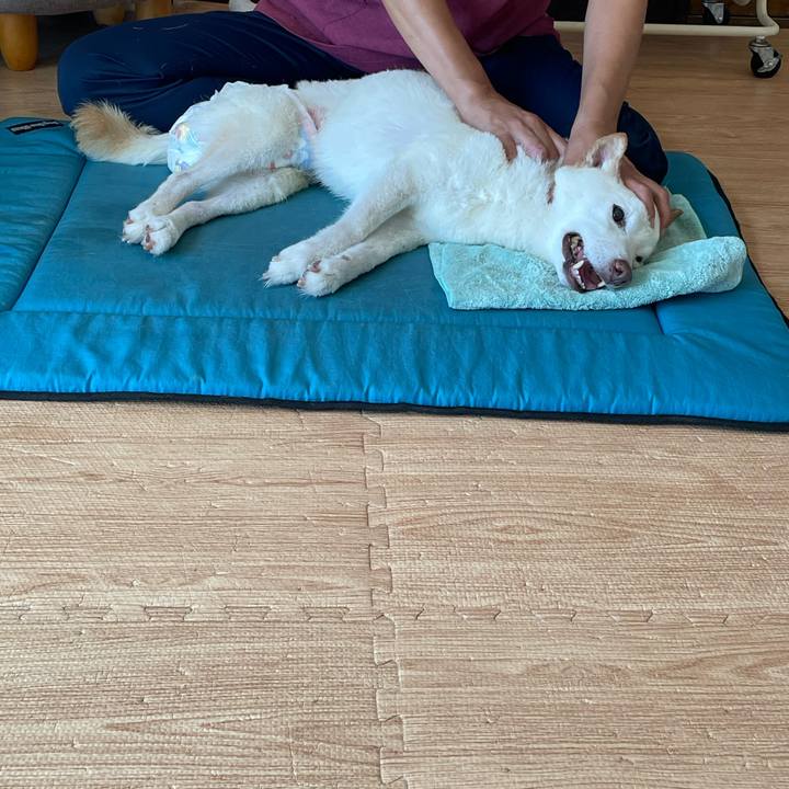 Afef3483 6ea2 4fc4 996b 7e9a14b758dc 1663679945558