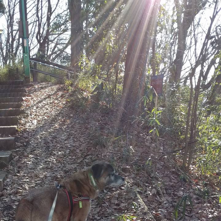 Afef37f7 13c6 47b6 941d bba5025afe64 1517962339806