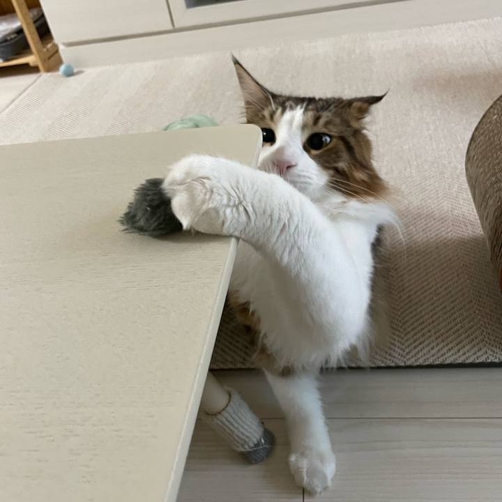 Afef75ab a5f7 4fab be27 6dac0774f173 1656620174116