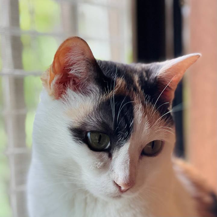 Afef9471 3963 4788 9285 2ca264729c18 1624069106484