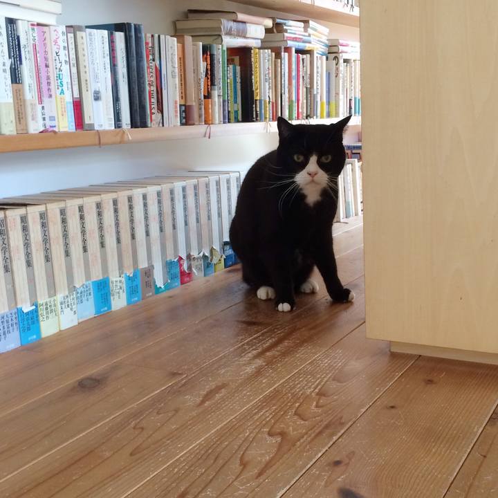 Afef94f7 0d9d 486a a33f 845fee3cc9c8 1519084849003