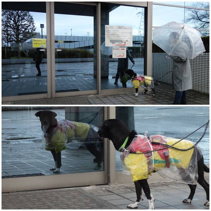 Aff008e3 e28c 4a4b be1a 37fd3cce0ec6 1612228719402