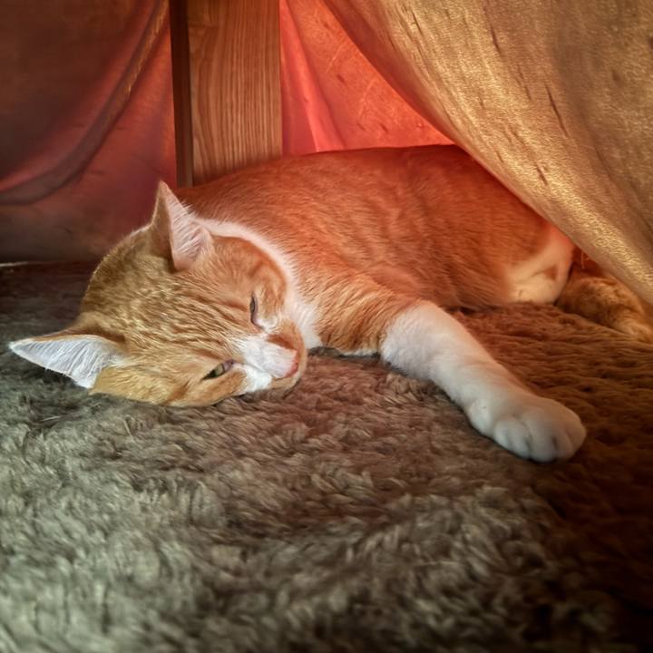 Aff05d16 1005 4faa 9d21 9ca74a4ed180 1761222263875