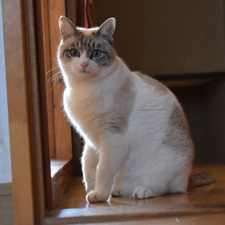 Aff09ee2 c1bb 4aa3 b6c8 c214b25bee3c 1515557930106