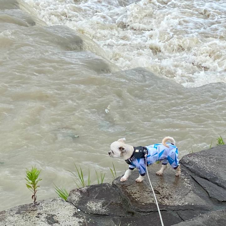 Aff0a31a c2d2 41b4 b87c ad3c290aeb52 1593834968396