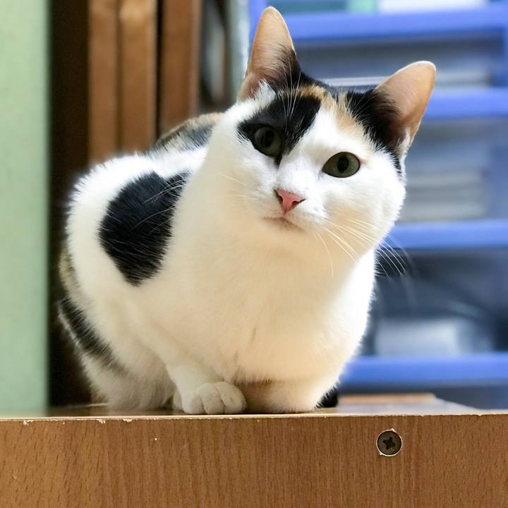 Aff0d5d9 f855 4bce 8bed e4e2cc552749 1513743634264