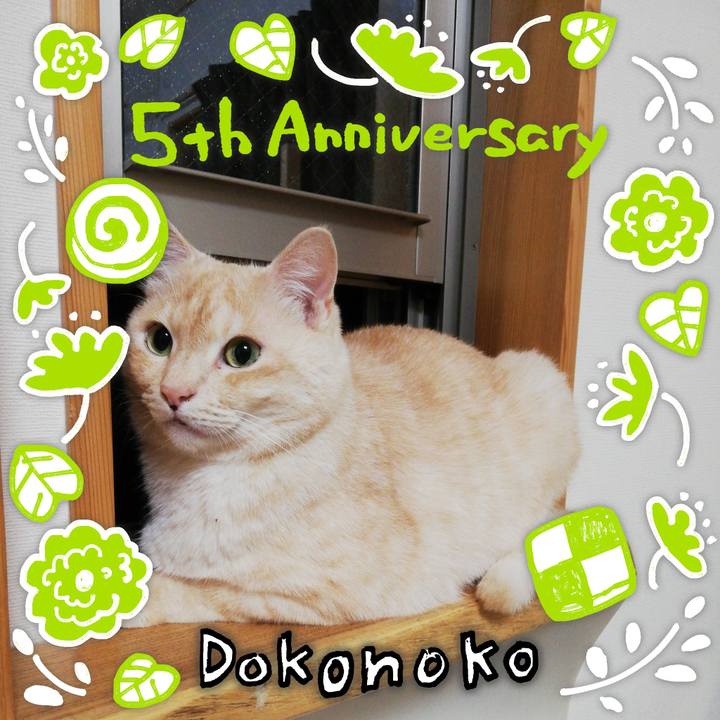 Aff10a1d dd6b 4a65 b47e 419b240da16a 1622899877202