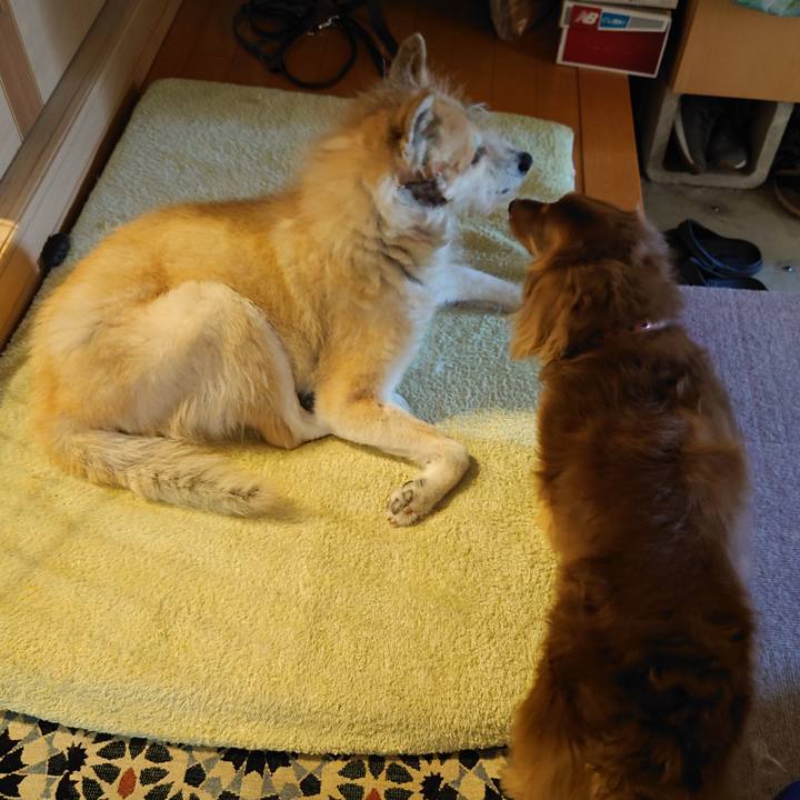 Aff10e7d 625b 4e5c 8132 e2c1c14c4ed6 1624231796217