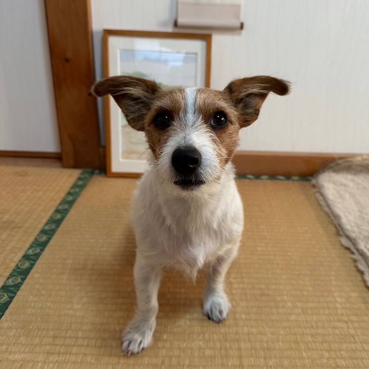 Aff1399b 2a55 4d63 9bef 339f91003b4f 1763678328154