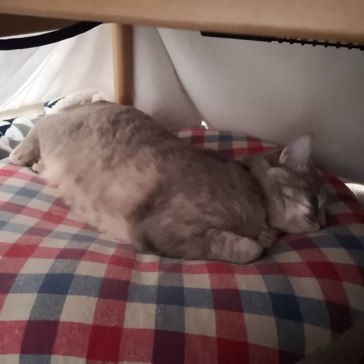 Aff13e90 1ebe 47da a6c6 78ac7b1c5dd7 1582878583770