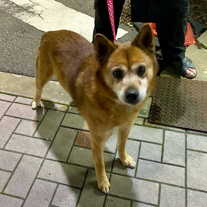 Aff163a1 1f3d 4564 9692 8f8d98326b91 1612873175115