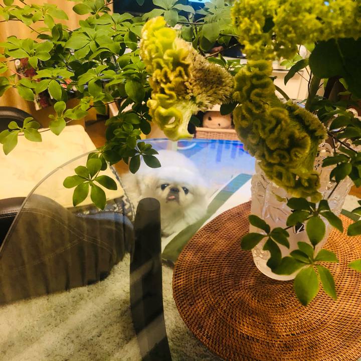 Aff16501 fb0e 4b9d bbb2 aab0ecd6b2e4 1622382275212